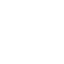 White vehicle icon