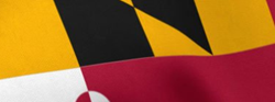 Maryland flag photo piece