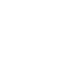 White shield icon